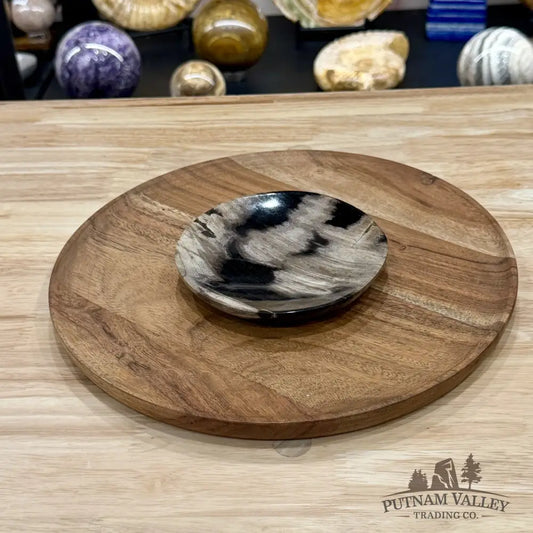Indonesian Petrified Wood Plate 4.85’’ - Plate