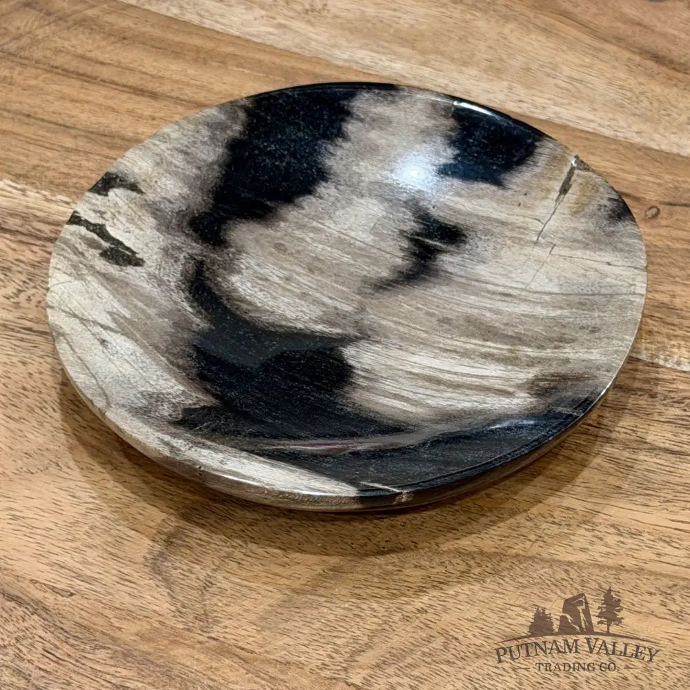 Indonesian Petrified Wood Plate 4.85’’ - Plate