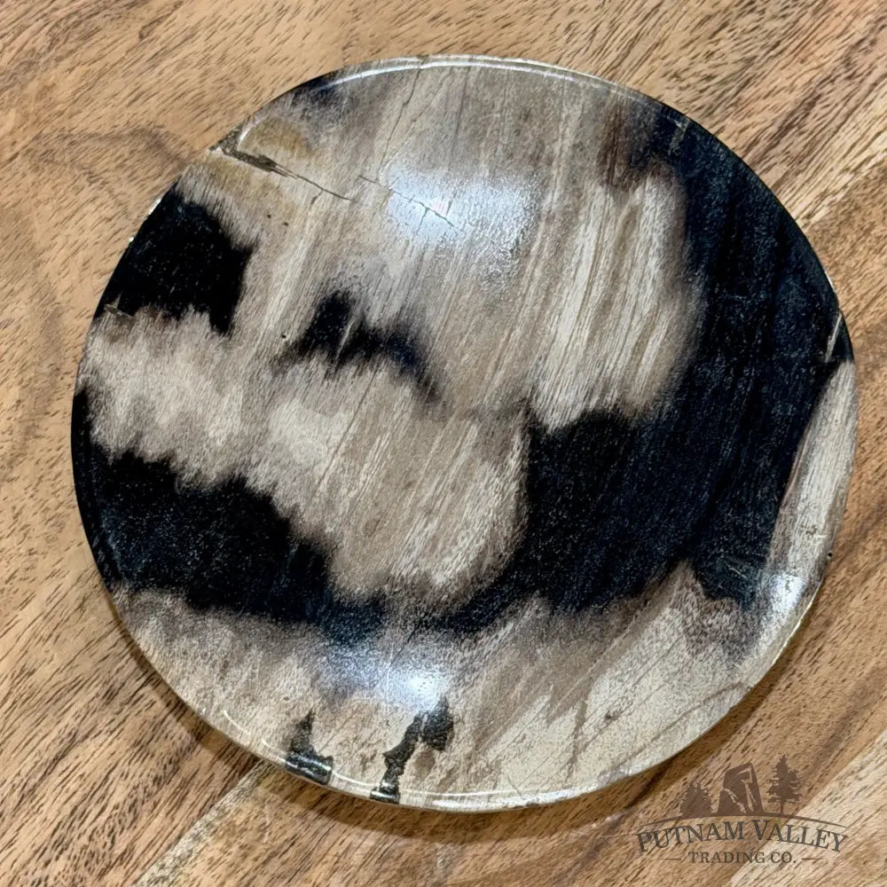 Indonesian Petrified Wood Plate 4.85’’ - Plate