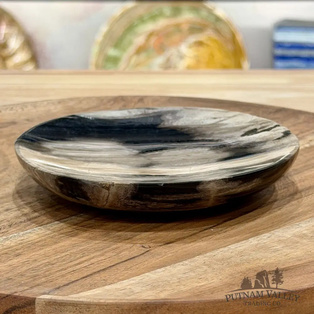 Indonesian Petrified Wood Plate 4.85’’ - Plate