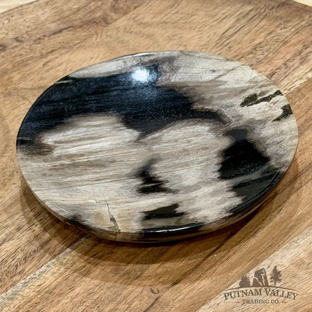Indonesian Petrified Wood Plate 4.85’’ - Plate