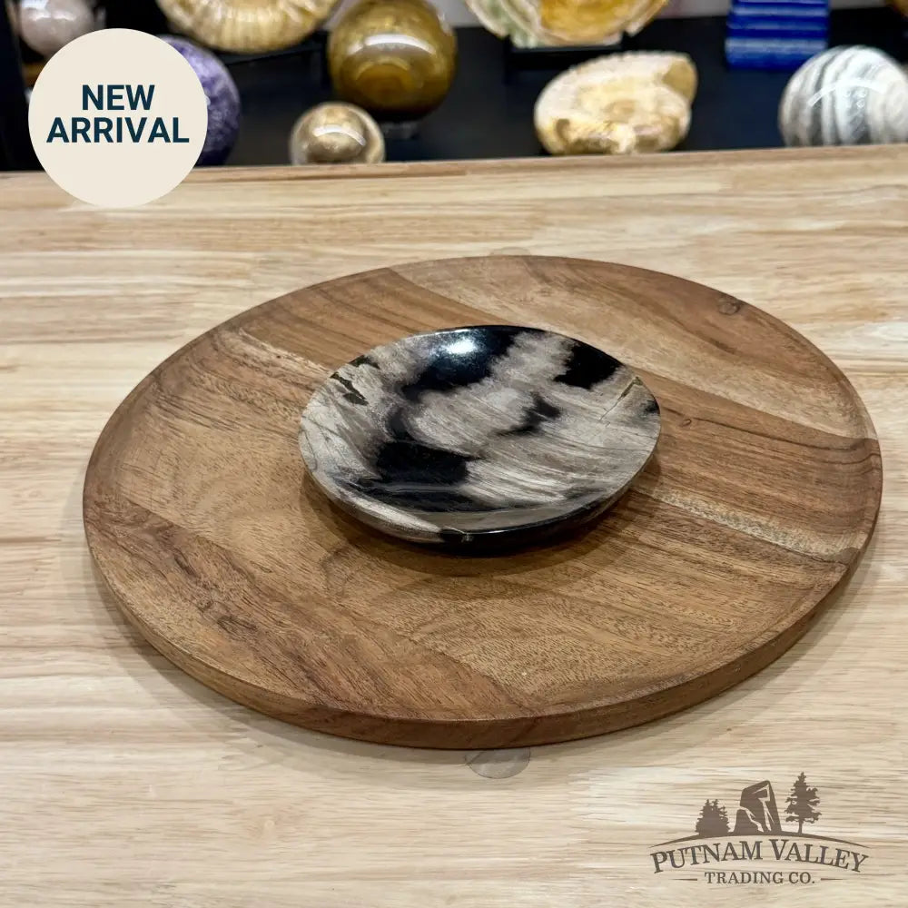 Indonesian Petrified Wood Plate 4.85’’ - Plate