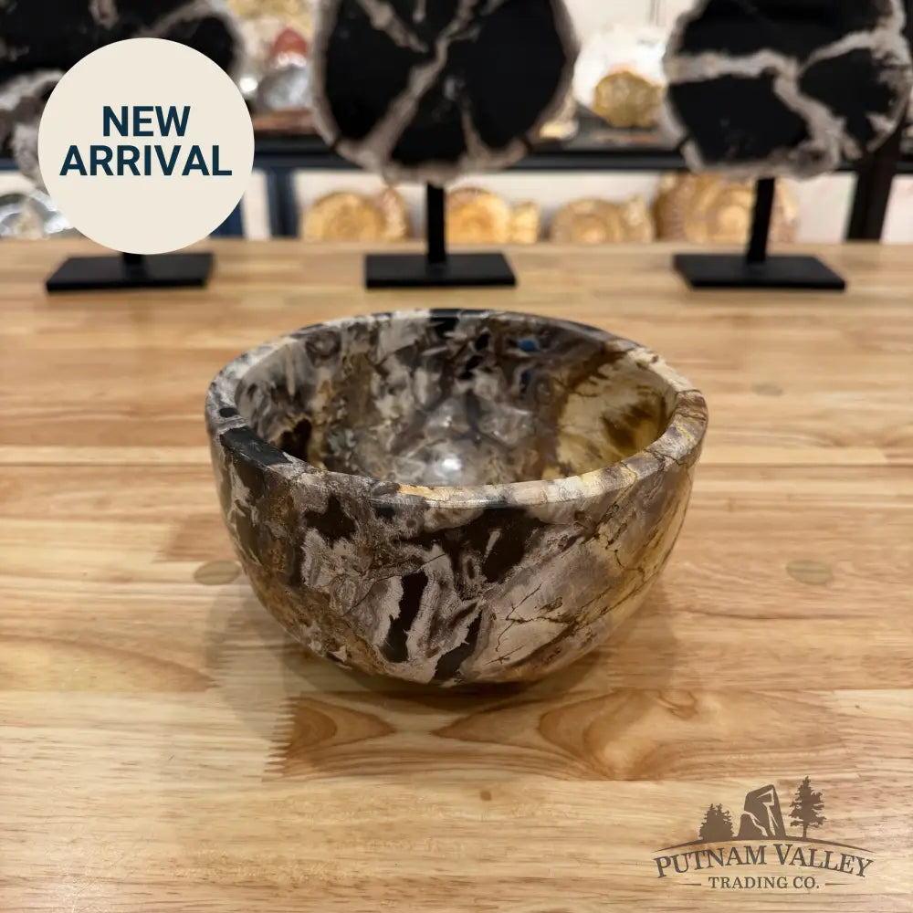 Indonesian Petrified Wood Rustic Bowl Bowl