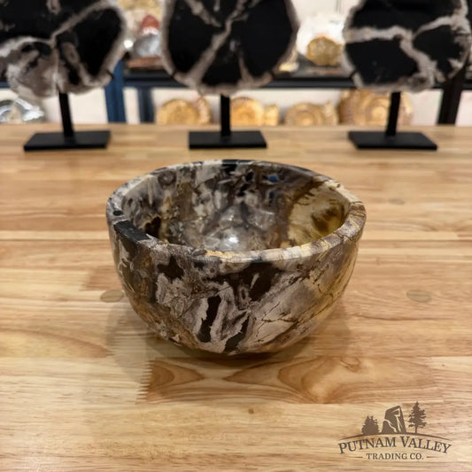 Indonesian Petrified Wood Rustic Bowl Bowl