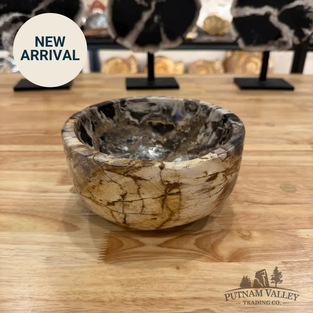 Indonesian Petrified Wood Rustic Bowl Bowl