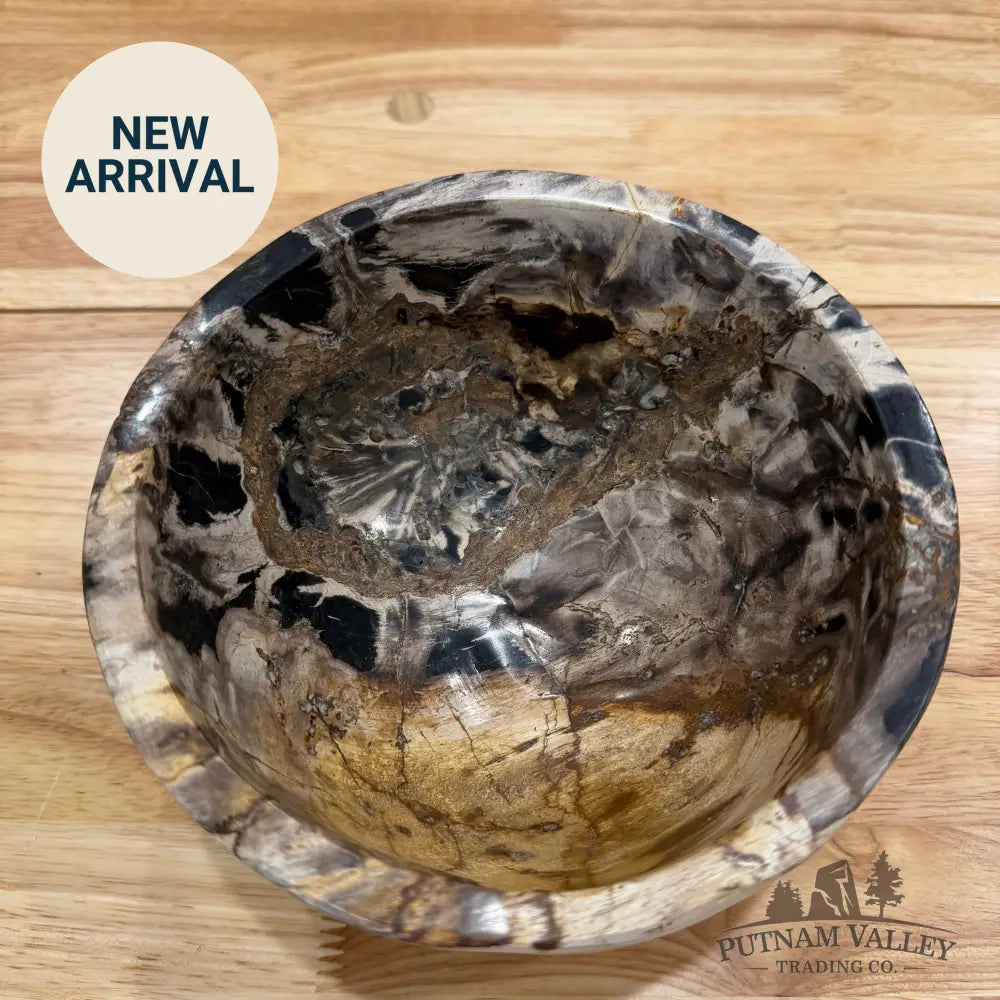 Indonesian Petrified Wood Rustic Bowl Bowl