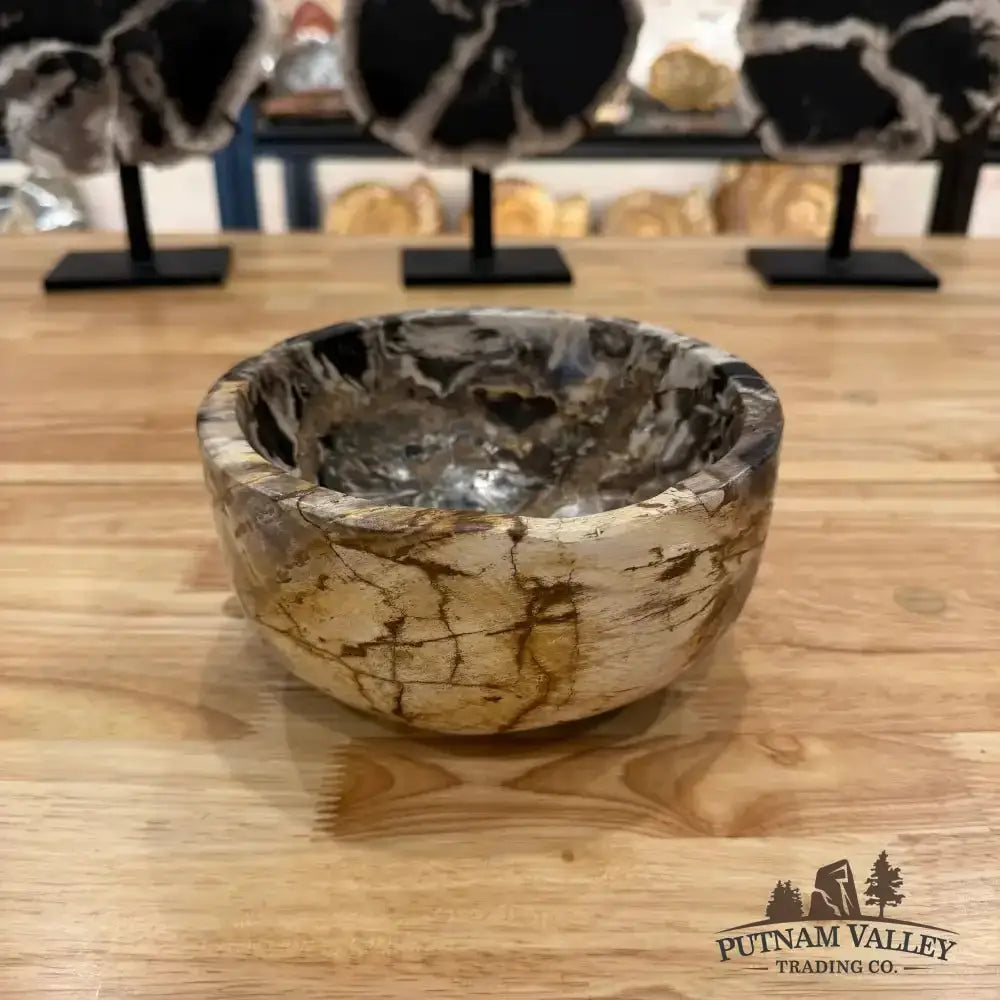 Real Indonesian Petrified Wood Rustic Bowl - Putnam Valley Trading Co.