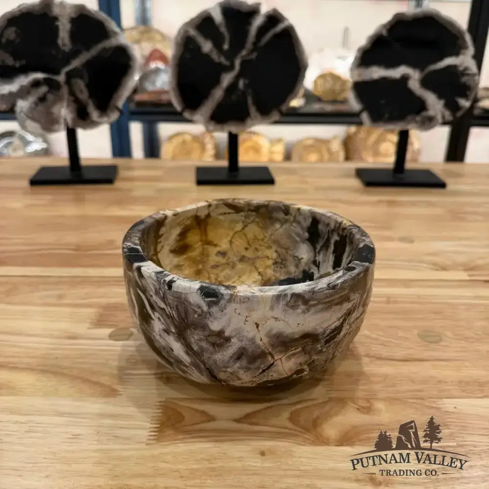 Real Indonesian Petrified Wood Rustic Bowl - Putnam Valley Trading Co.