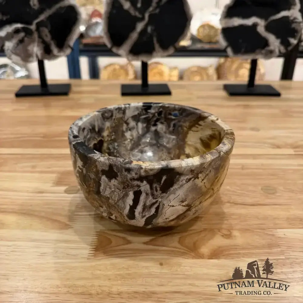 Real Indonesian Petrified Wood Rustic Bowl - Putnam Valley Trading Co.