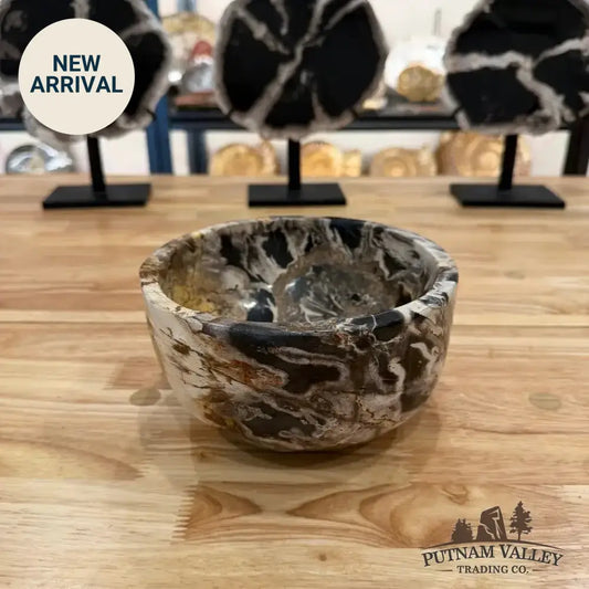 Real Indonesian Petrified Wood Rustic Bowl - Putnam Valley Trading Co.