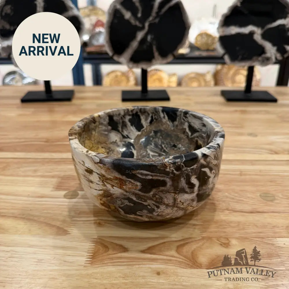 Indonesian Petrified Wood Rustic Bowl Bowl