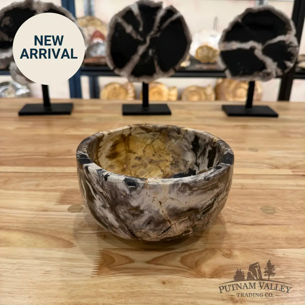 Indonesian Petrified Wood Rustic Bowl Bowl