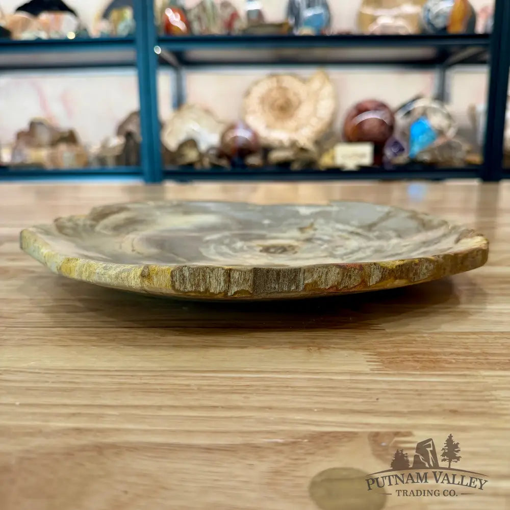 Indonesian Petrified Wood Rustic Plate 11.25’’ - Plate