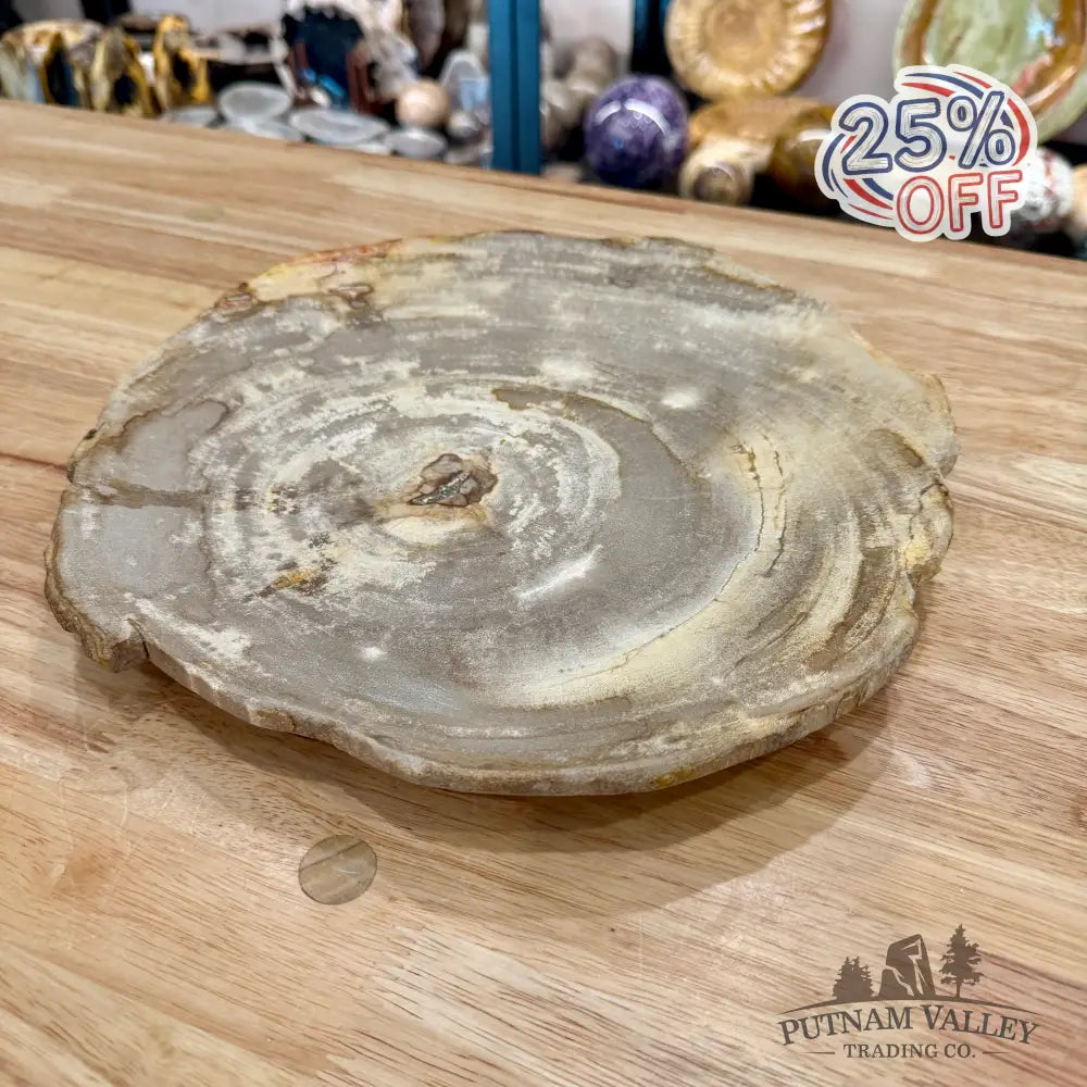 Indonesian Petrified Wood Rustic Plate 11.25’’ - Plate