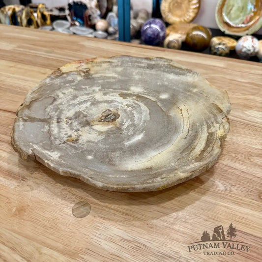 Indonesian Petrified Wood Rustic Plate 11.25’’ - Plate