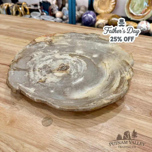 Indonesian Petrified Wood Rustic Plate 11.25’’ - Plate