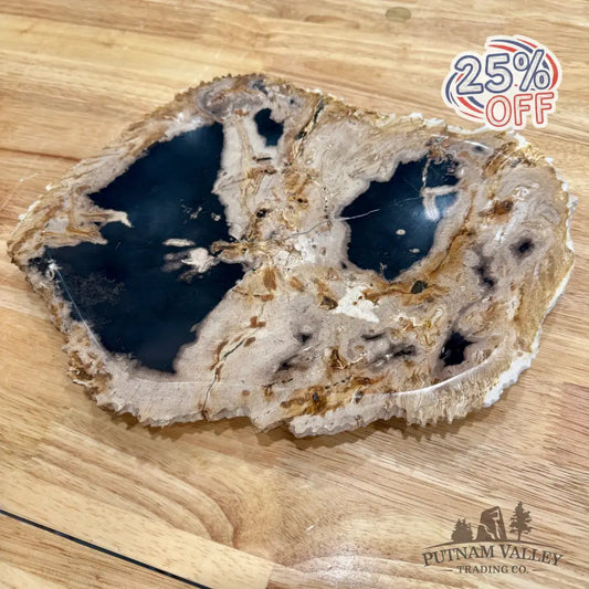 Indonesian Petrified Wood Rustic Plate 12.25’’ - Plate