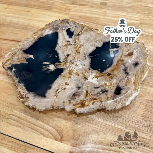 Indonesian Petrified Wood Rustic Plate 12.25’’ - Plate