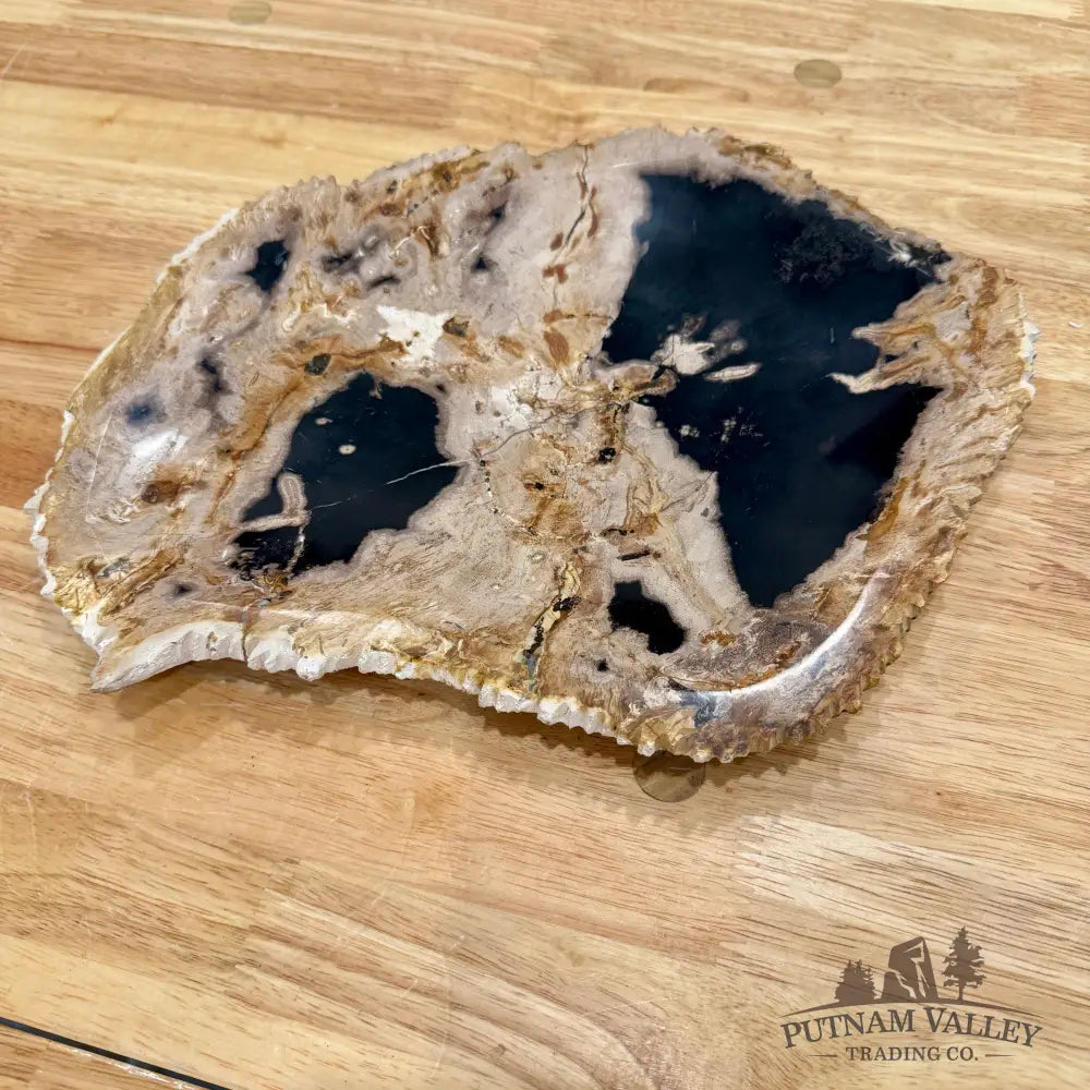 Indonesian Petrified Wood Rustic Plate 12.25’’ - Plate