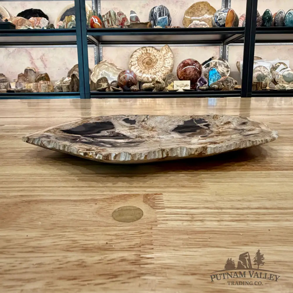 Indonesian Petrified Wood Rustic Plate 12.25’’ - Plate