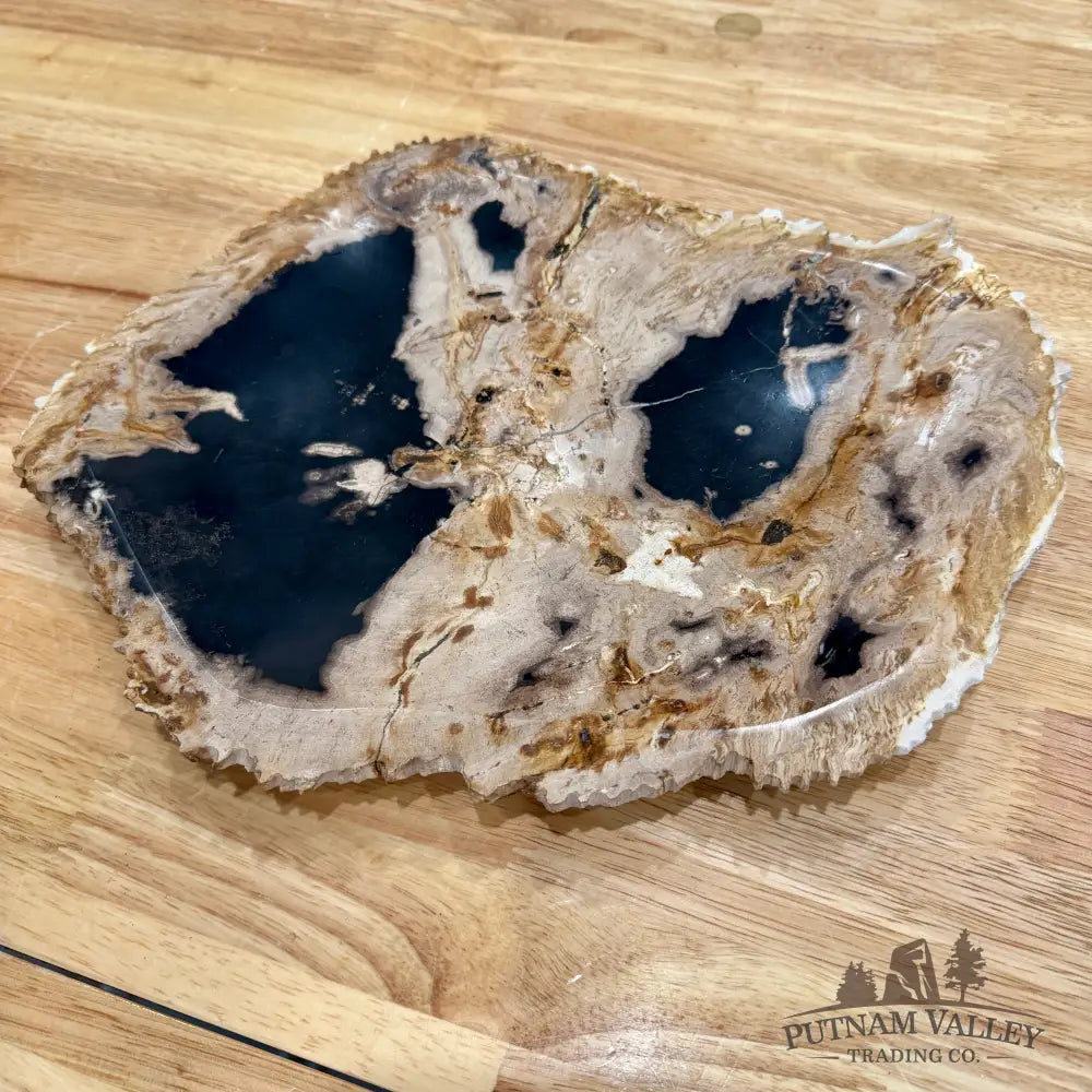 Indonesian Petrified Wood Rustic Plate 12.25’’ - Plate