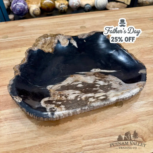 Indonesian Petrified Wood Rustic Plate 12.5’’ - Plate