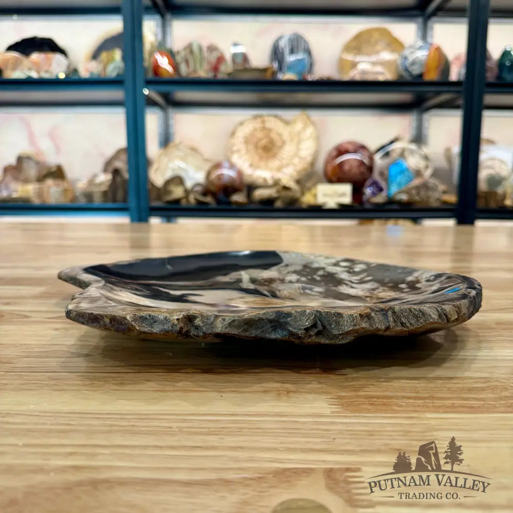 Indonesian Petrified Wood Rustic Plate 12.5’’ - Plate