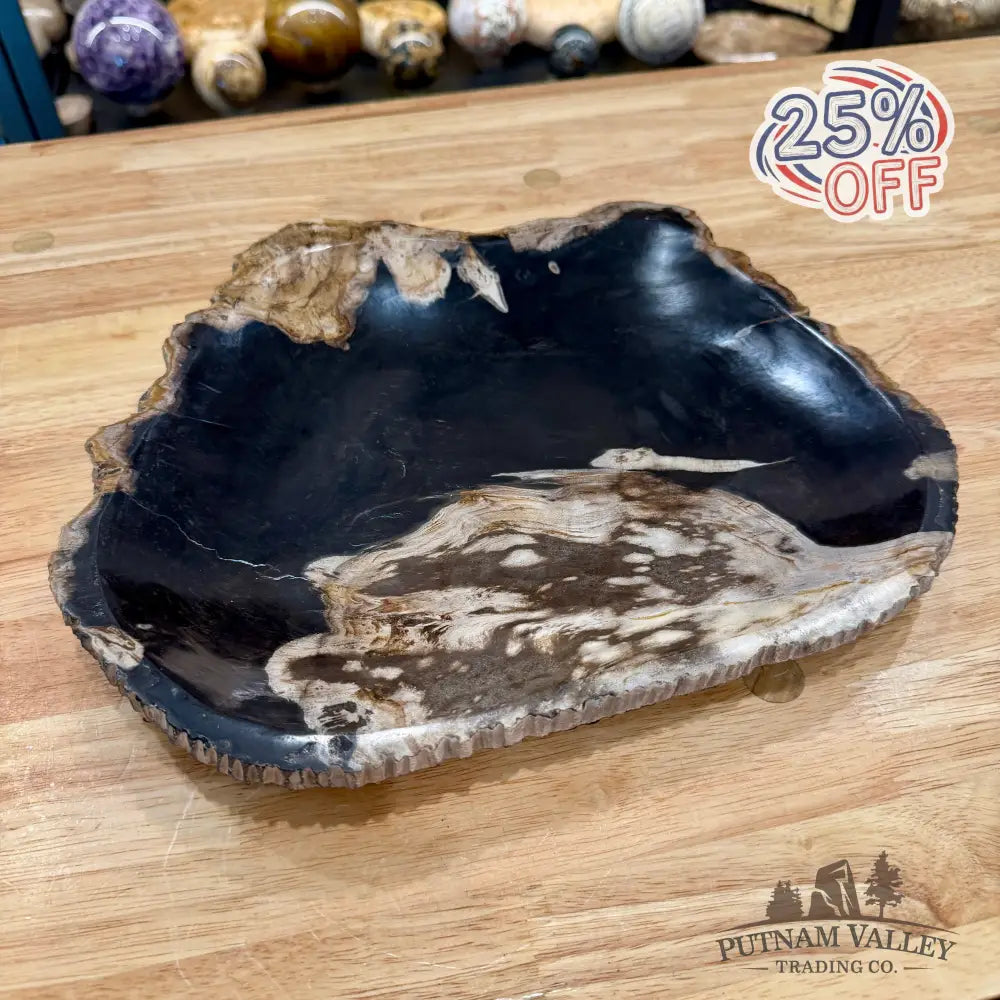 Indonesian Petrified Wood Rustic Plate 12.5’’ - Plate