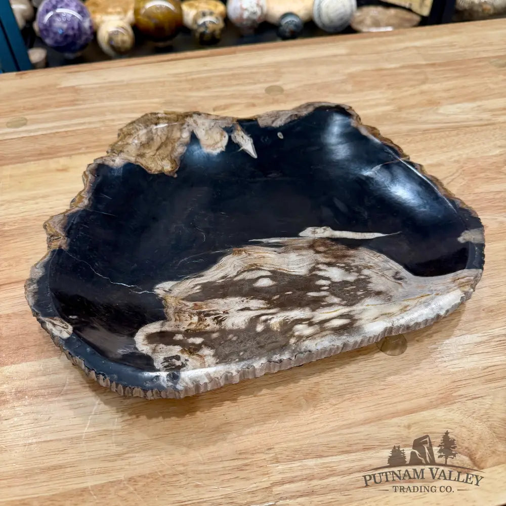 Indonesian Petrified Wood Rustic Plate 12.5’’ - Plate