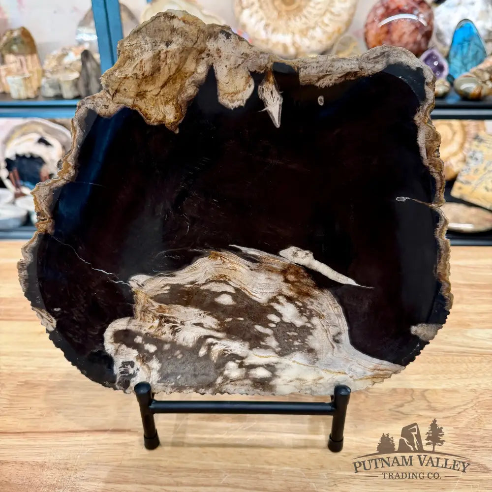 Indonesian Petrified Wood Rustic Plate 12.5’’ - Plate