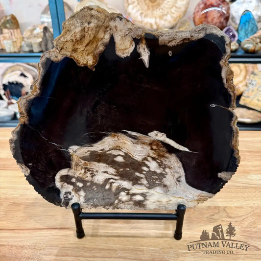 Indonesian Petrified Wood Rustic Plate 12.5’’ - Plate