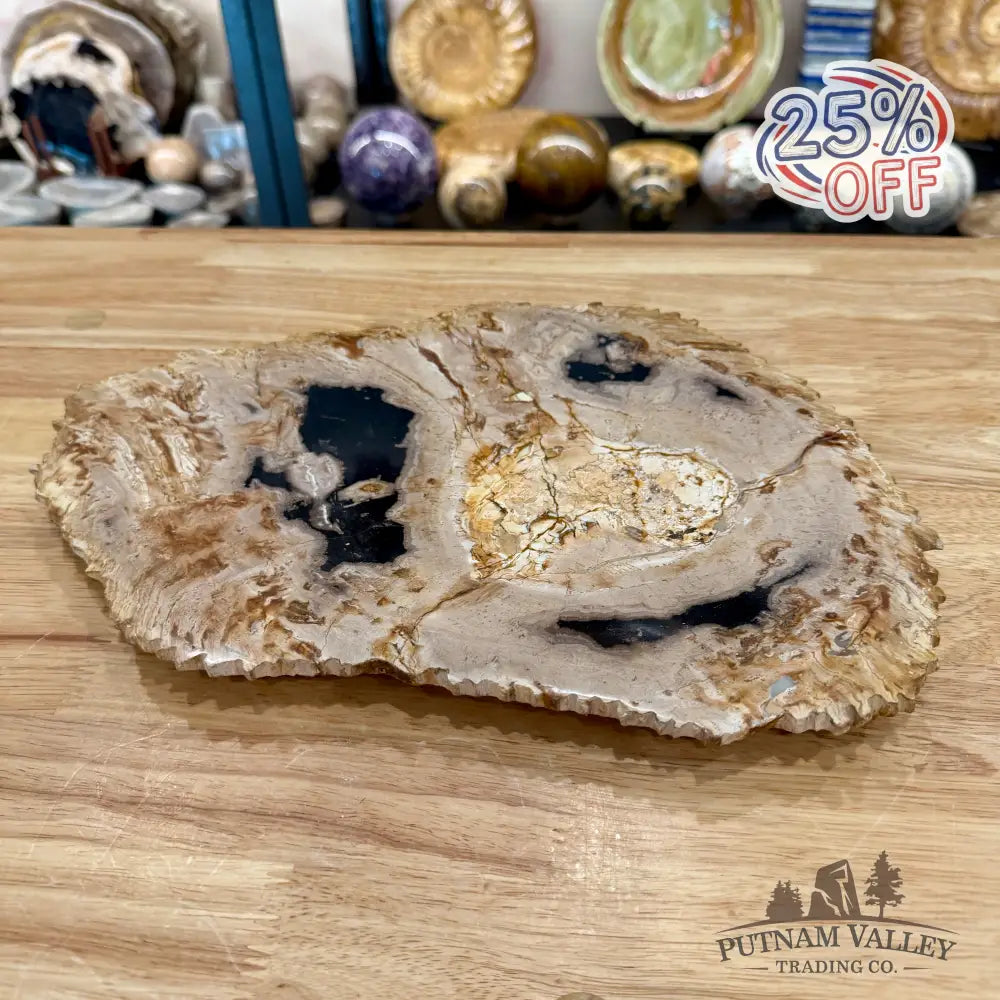 Indonesian Petrified Wood Rustic Plate 13’’ - Plate