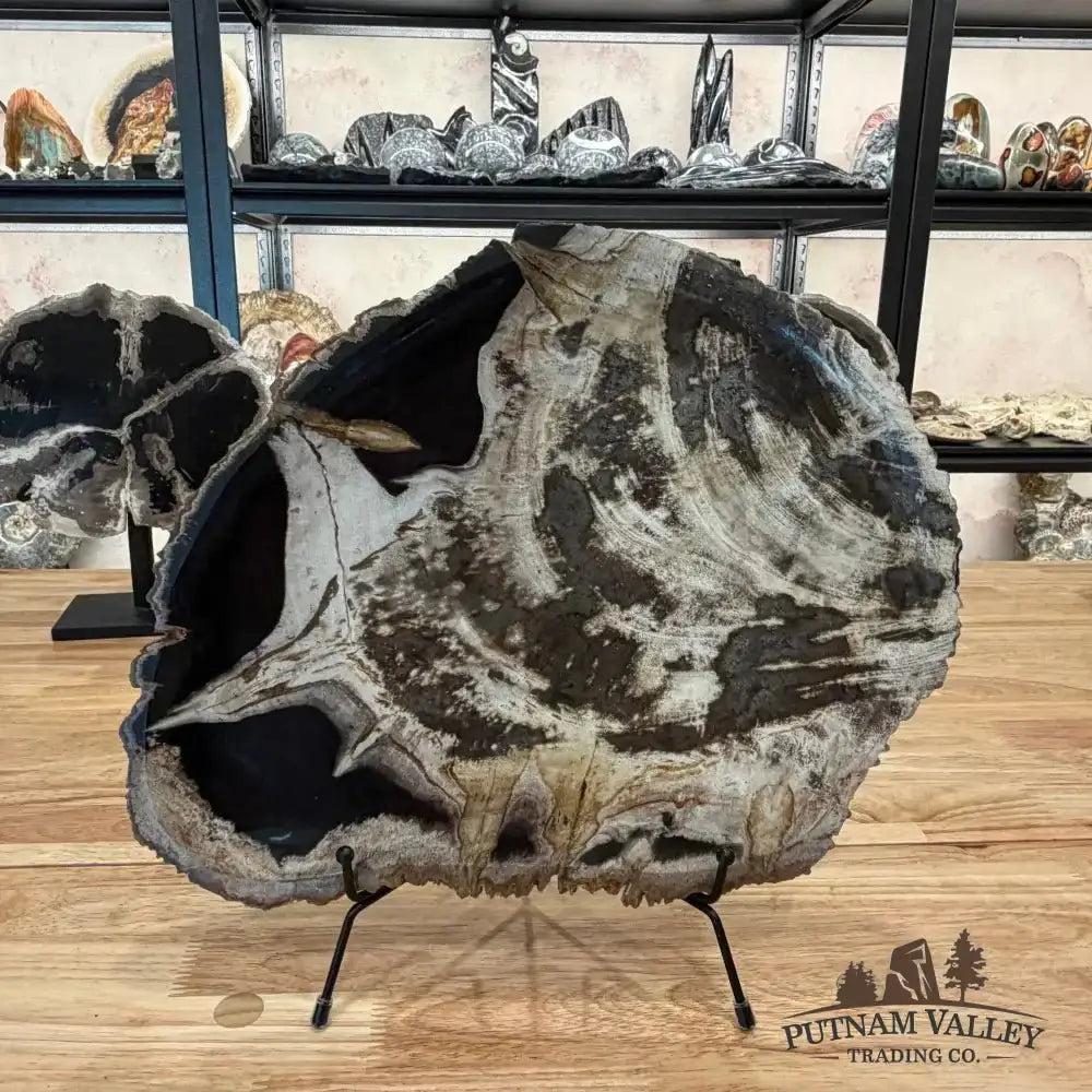 Genuine Indonesian Petrified Wood Rustic Serving Platter - Putnam Valley Trading Co.