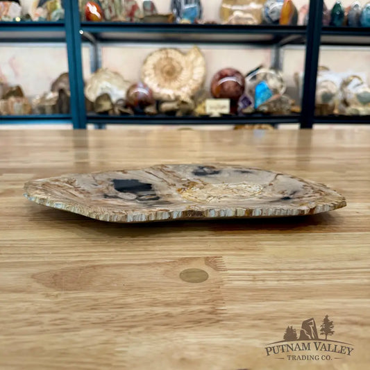 Indonesian Petrified Wood Rustic Plate 13’’ - Plate