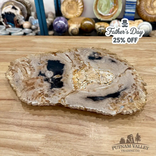 Indonesian Petrified Wood Rustic Plate 13’’ - Plate
