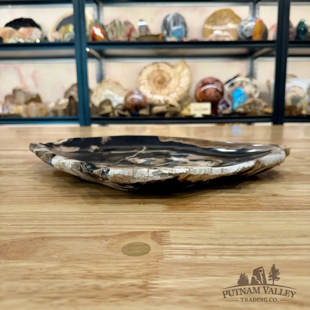 Indonesian Petrified Wood Rustic Plate 14.25’’ - Plate
