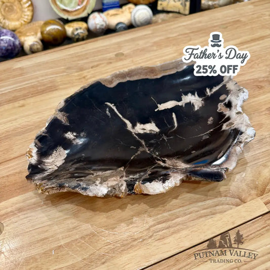 Indonesian Petrified Wood Rustic Plate 14.25’’ - Plate