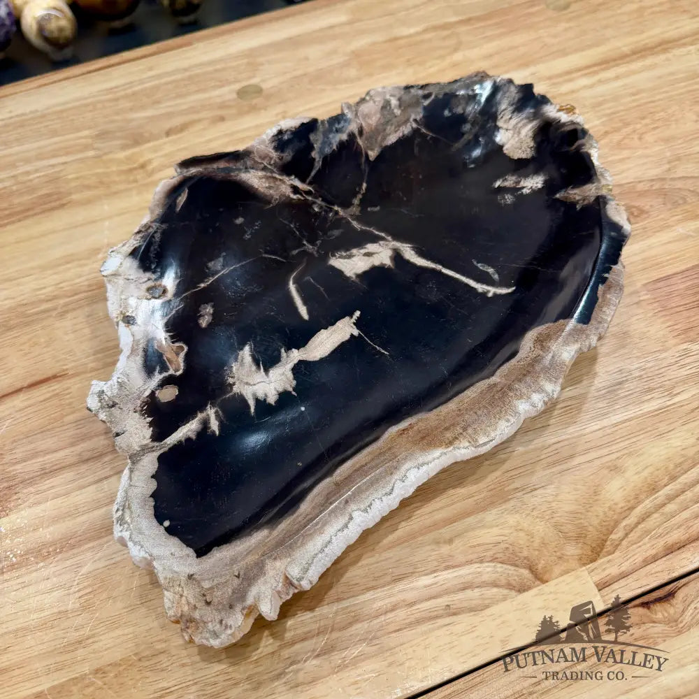 Indonesian Petrified Wood Rustic Plate 14.25’’ - Plate