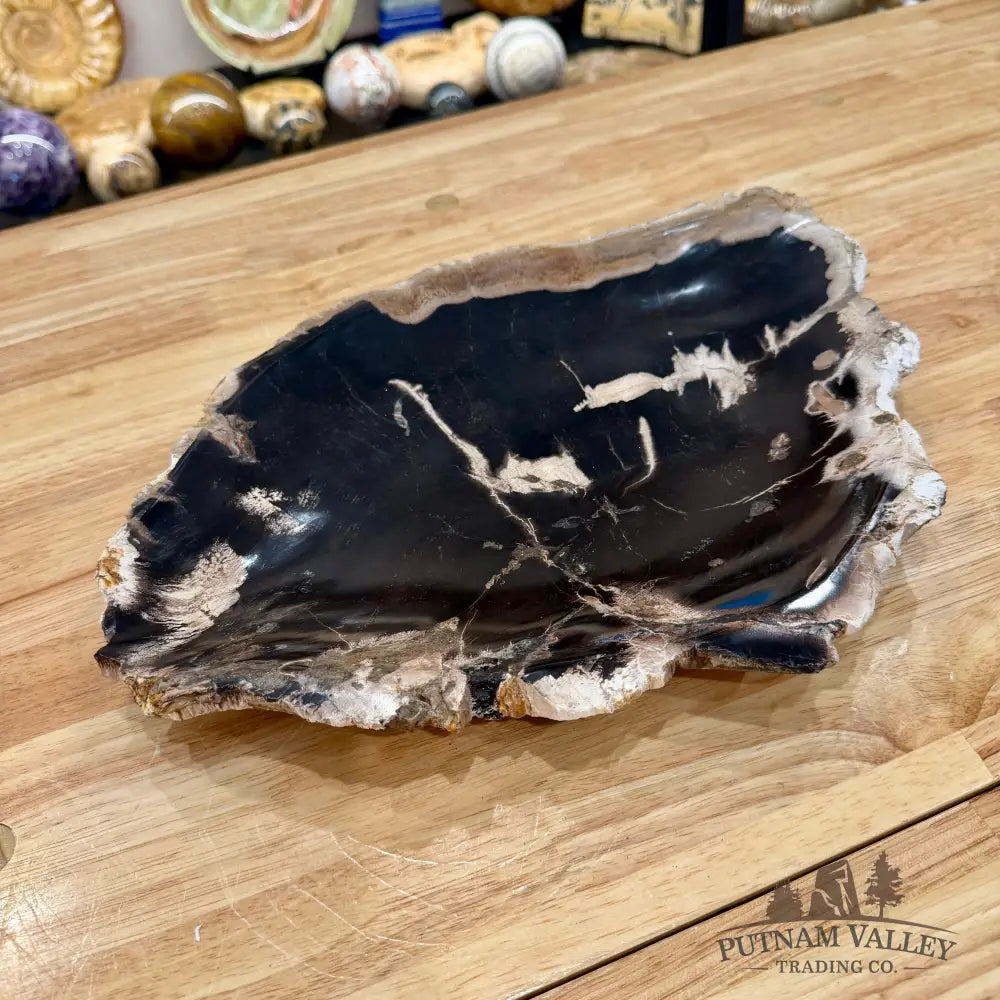 Indonesian Petrified Wood Rustic Plate 14.25’’ - Plate