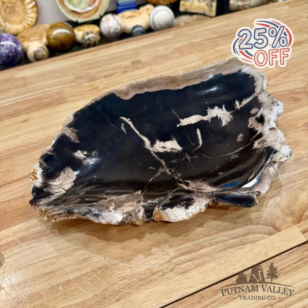 Indonesian Petrified Wood Rustic Plate 14.25’’ - Plate