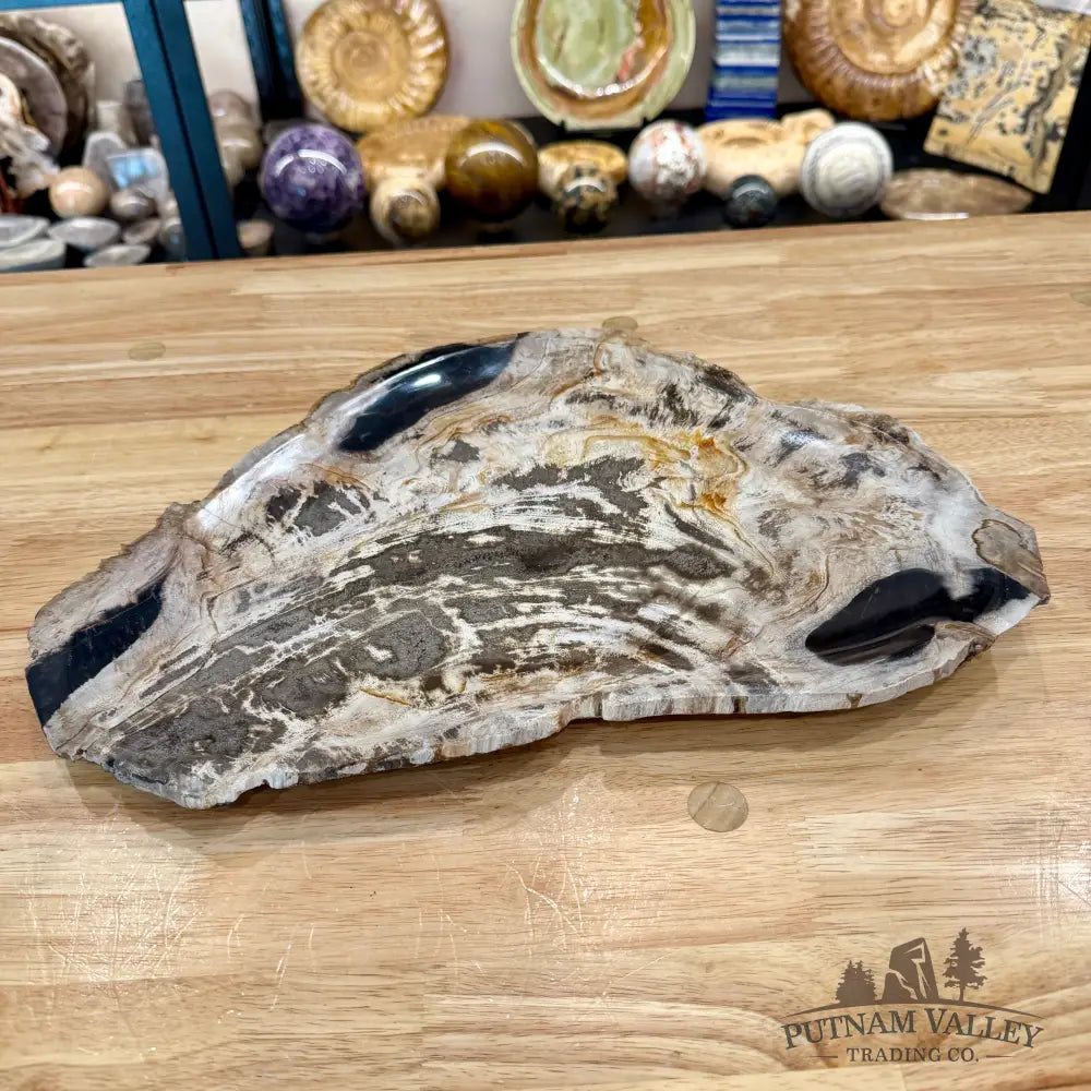 Indonesian Petrified Wood Rustic Plate 14.5’’ - Plate