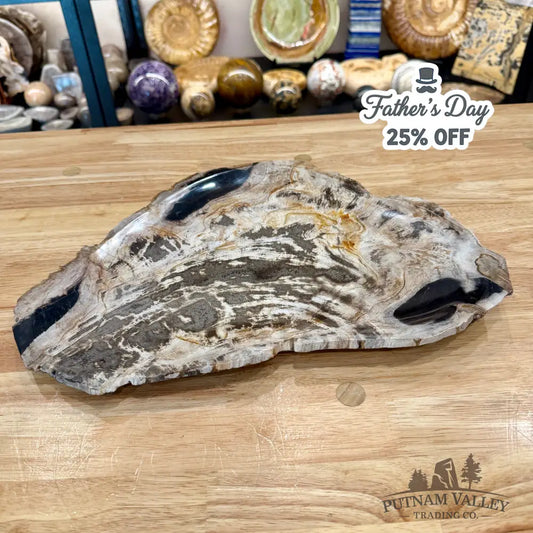 Indonesian Petrified Wood Rustic Plate 14.5’’ - Plate
