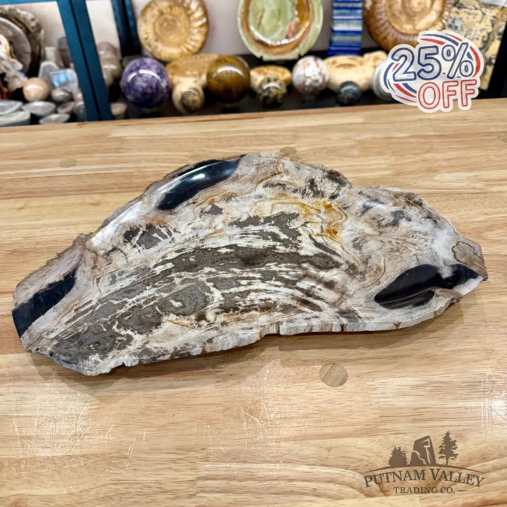 Indonesian Petrified Wood Rustic Plate 14.5’’ - Plate