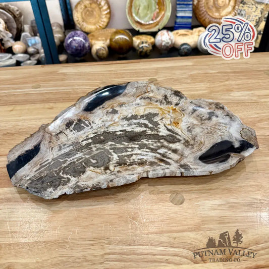 Indonesian Petrified Wood Rustic Plate 14.5’’ - Plate