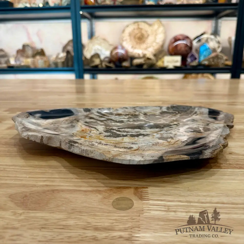Indonesian Petrified Wood Rustic Plate 14.5’’ - Plate