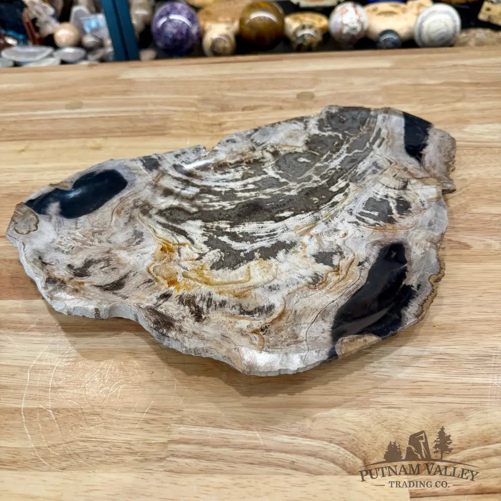 Indonesian Petrified Wood Rustic Plate 14.5’’ - Plate