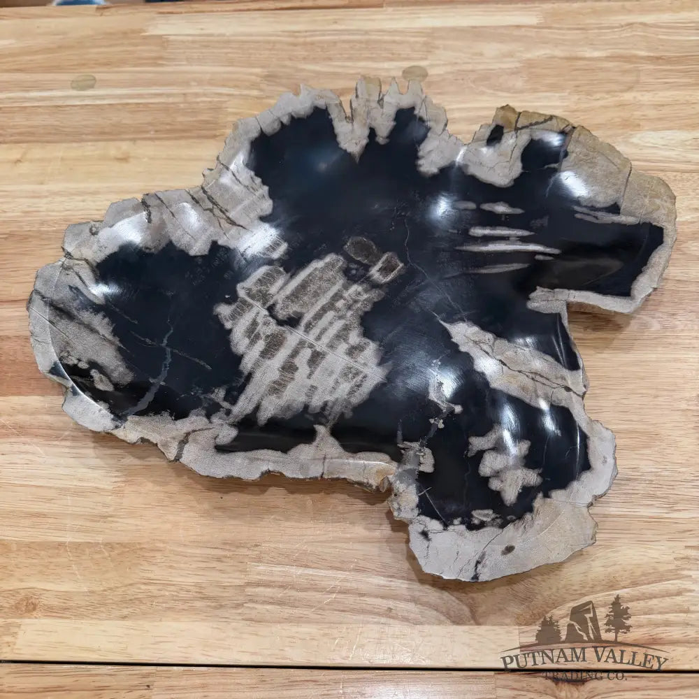 Indonesian Petrified Wood Rustic Plate 15.5’’ - Plate