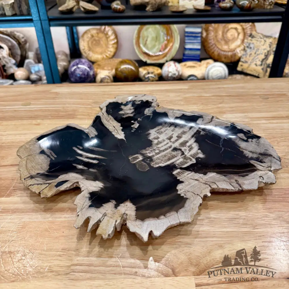 Indonesian Petrified Wood Rustic Plate 15.5’’ - Plate