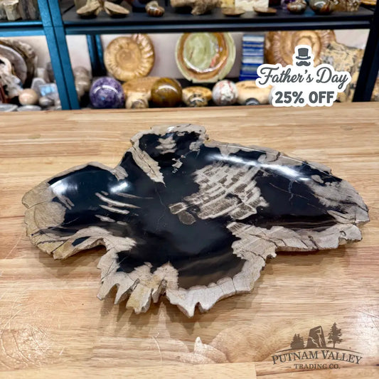 Indonesian Petrified Wood Rustic Plate 15.5’’ - Plate