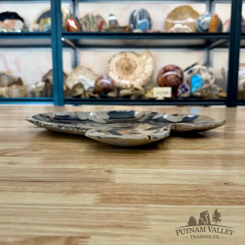 Indonesian Petrified Wood Rustic Plate 15.5’’ - Plate